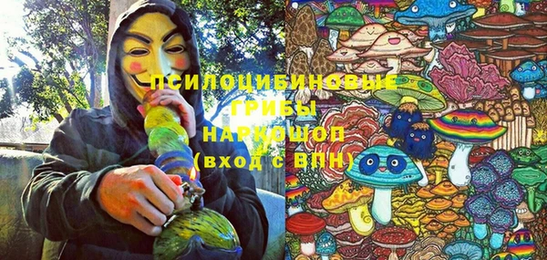 гидра Алзамай