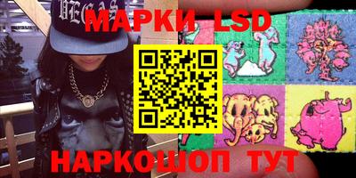 дмт Ставрополь