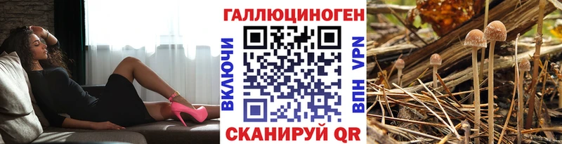 хочу наркоту  Новоуральск  Псилоцибиновые грибы Psilocybe 