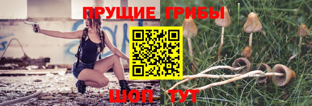 Новоуральск  закладки  Вход с VPN  Галлюциногенные грибы Cubensis 